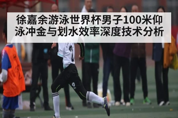徐嘉余游泳世界杯男子100米仰泳冲金与划水效率深度技术分析